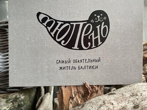 Почтовая открытка с тюленем с надписью в силуэте "Самый обаятельный житель  Балтики"