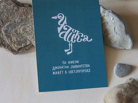 Почтовая открытка с чайкой и надписью "Чайка по имени Джонатан Ливингстон живет в Светлогорске"